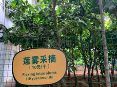 -北戴河集发农业梦想王国