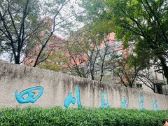 -黄桷坪涂鸦艺术街