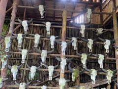 -海南槟榔谷黎苗文化旅游区