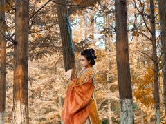 -桤木河湿地公园