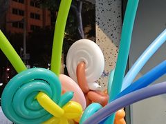 -探窝·竹笙椰子鸡(杨箕店)