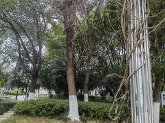 -玉山公园