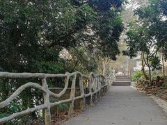 -扬美古镇景区
