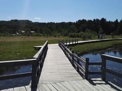 -塞罕坝国家级自然保护区