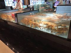 水产区-尚海豆捞(乐虹坊店)