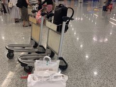 -上海浦东国际机场-T2航站楼