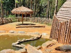 -云南野生动物园