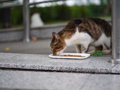 -苏州河梦清园环保主题公园