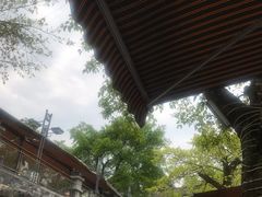 -老幺泉水鸡