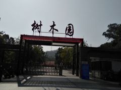 -中山市树木园