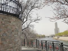 -桃花堤公园