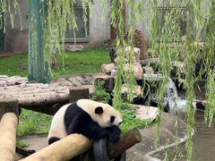 -沈阳森林动物园