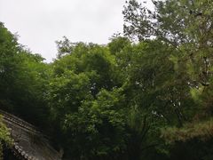 -西安曲江寒窑遗址公园