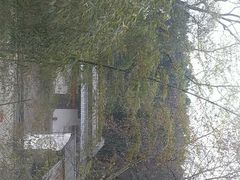 -浙江大学(玉泉校区)