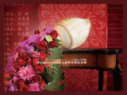 点击看大图 -上海复旦皇冠假日酒店·宴会厅