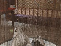 -圣和汤泉•汗蒸温泉自助