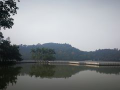 -西樵山风景名胜区-天湖公园