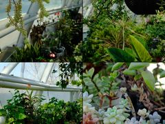 -南宫五洲植物乐园