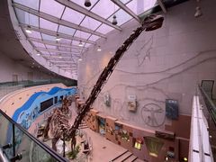 -陕西自然博物馆