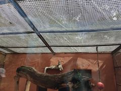 -青藏高原野生动物园