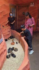 -Zoolung Zoolung动物主题公园(海信广场店)