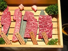 -火浪壹 by tigergrill(33小镇店)