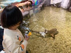 -Zoolung Zoolung动物主题公园(海信广场店)