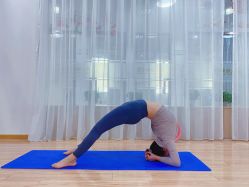 -亚太瑜伽普拉提学院