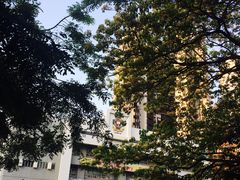 -香港大学