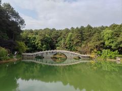 -铁山坪森林公园