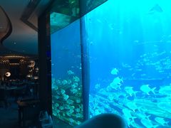 -亚特兰蒂斯•OSSIANO奥西亚诺海底餐厅