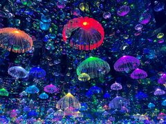 -上海梵高星空艺术馆(南京路旗舰店)