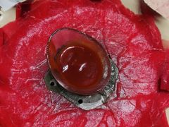 -红鼎豆捞·非遗鲍皇汤火锅(宝丰路店)