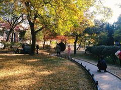 -八大关景区