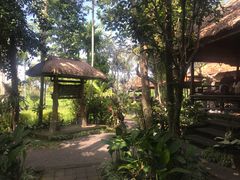 -脏鸭餐厅(乌布总店)