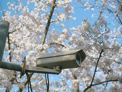 -龙美术馆西岸馆-停车场