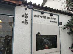 -喵屿·大理花园猫咖