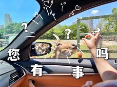 -常州淹城野生动物世界