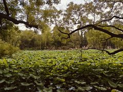 -莲池书院博物馆