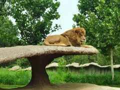 -北京野生动物园