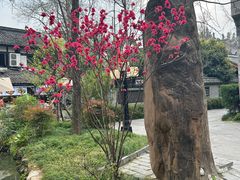 -成都武侯祠博物馆