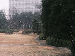 -日本大使馆-新闻文化中心