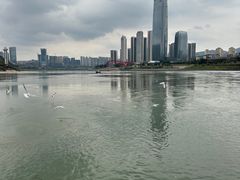 -中国宜宾·长江地标广场