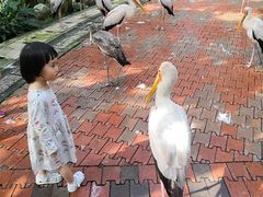 -吉隆坡雀鸟公园
