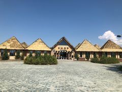 -黑瞎子岛探秘野熊园