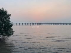 -宝安西湾红树林湿地公园