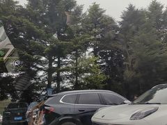 -四明山国家森林公园