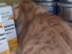 -中农大我爱我爱动物医院·核磁CT·猫病·24小时夜诊中心(石佛营店)