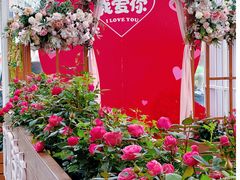 -盈香心动乐园
