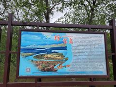 -珍宝岛